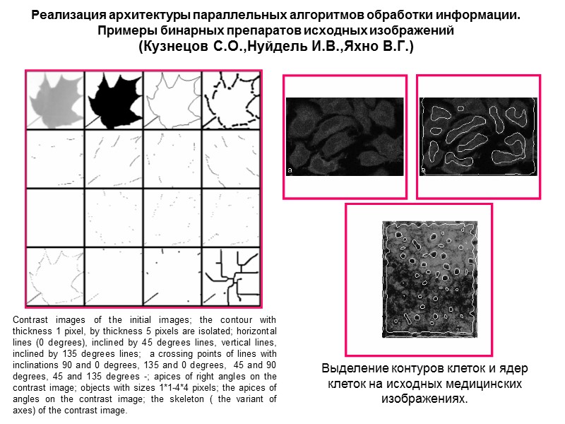 Реализация архитектуры параллельных алгоритмов обработки информации. Примеры бинарных препаратов исходных изображений  (Кузнецов С.О.,Нуйдель
